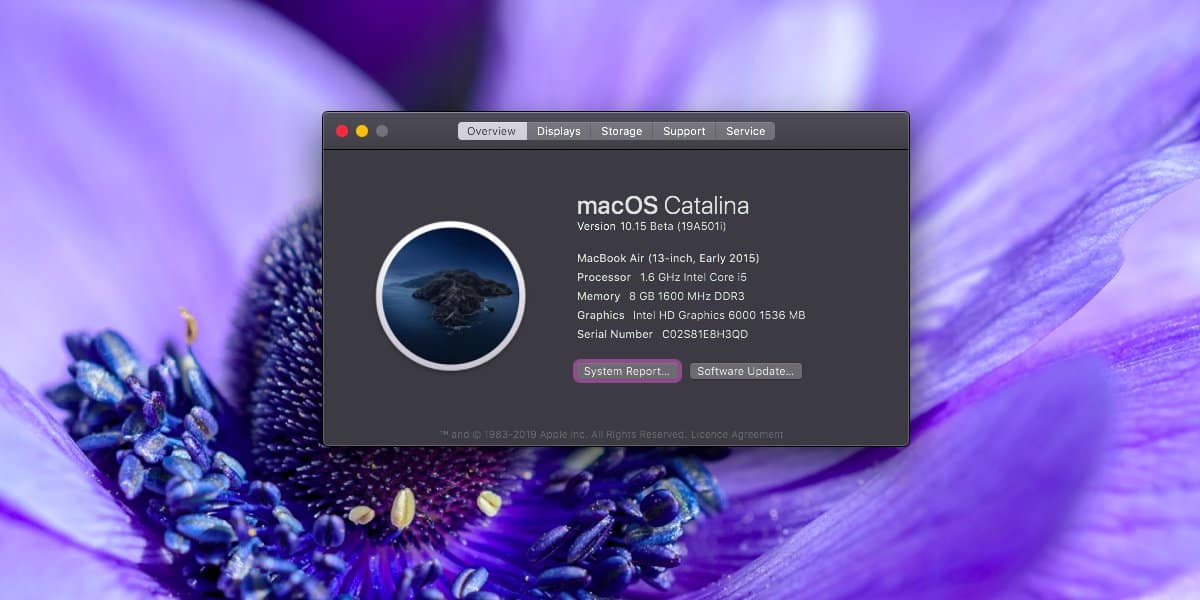 Mac Os Catalina Beta 2 Download